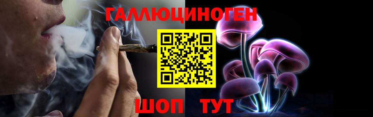 Клинцы  Псилоцибиновые грибы Psilocybe  Вход с VPN 